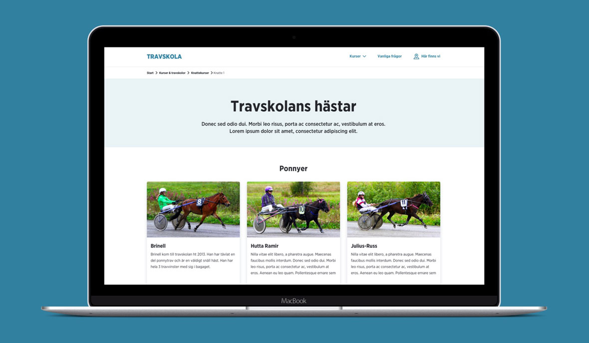 Travskola.se - Ny UX, design, SEO och webbutveckling - Limetta Digitalbyrå