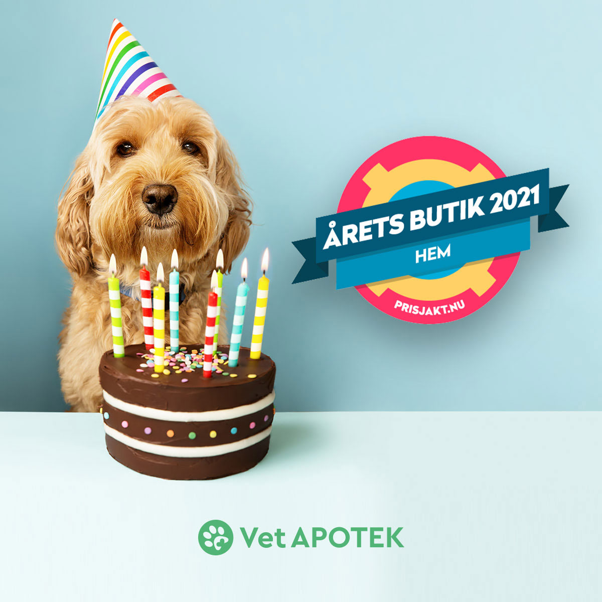 Grattis till Årets Butik - VetApotek.se