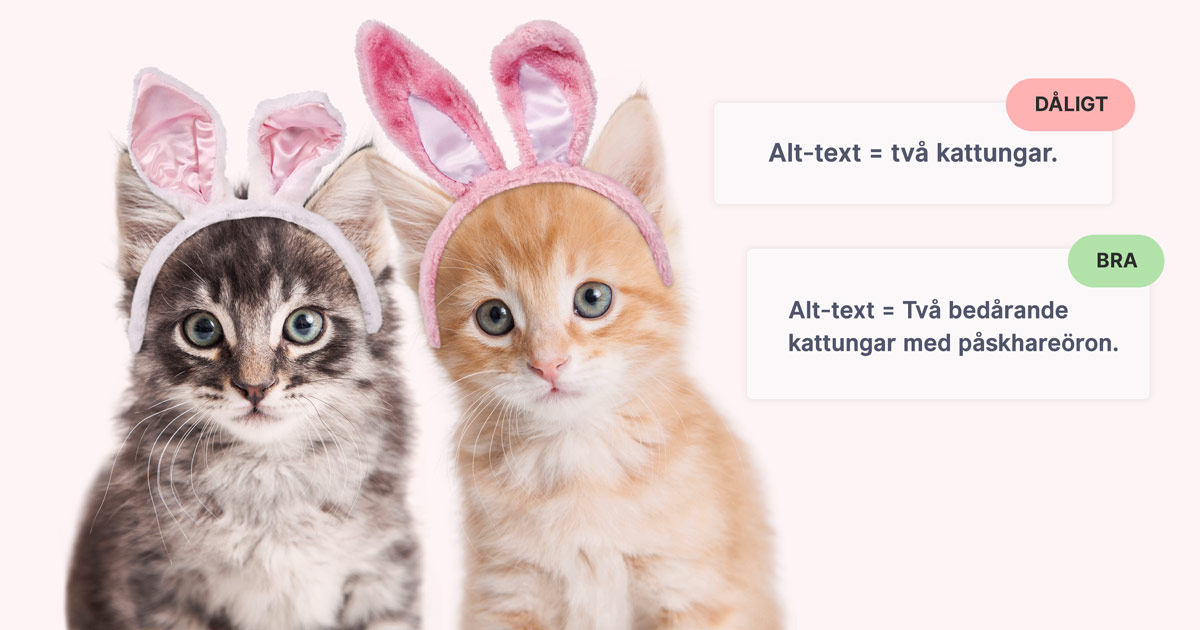 Digital tillgänglighet – beskriv bilder och grafiskt innehåll - Limetta Digitalbyrå