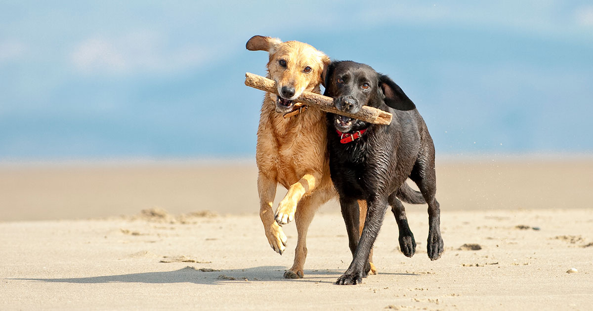 9 användbara konverteringstips - Gör fler besökare till kunder - Limetta Digitalbyrå