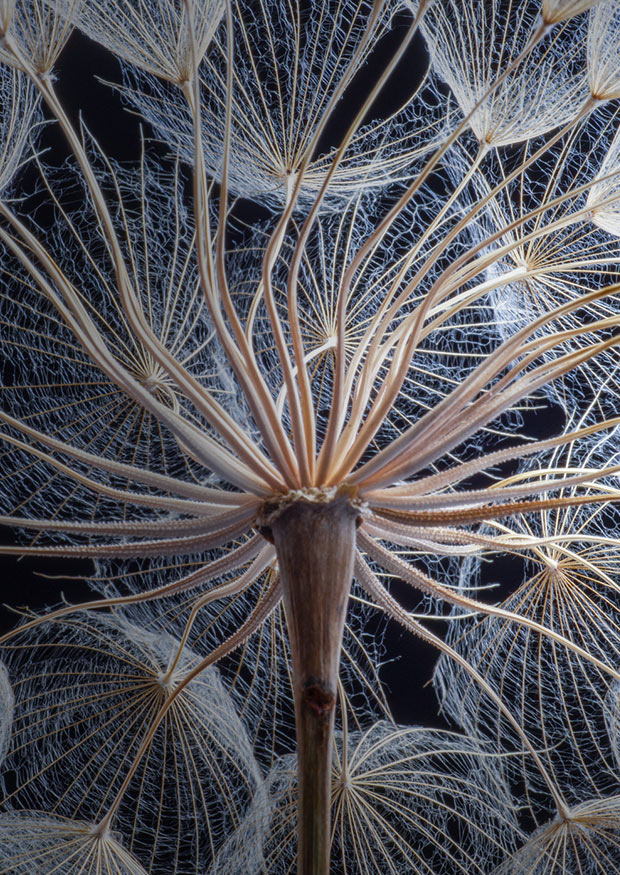 Så kan ni påbörja er digitala transformation - Limetta Digitalbyrå