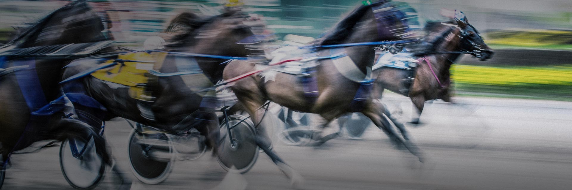 Ny UX och design för Svensk Travsport - Limetta Digitalbyrå