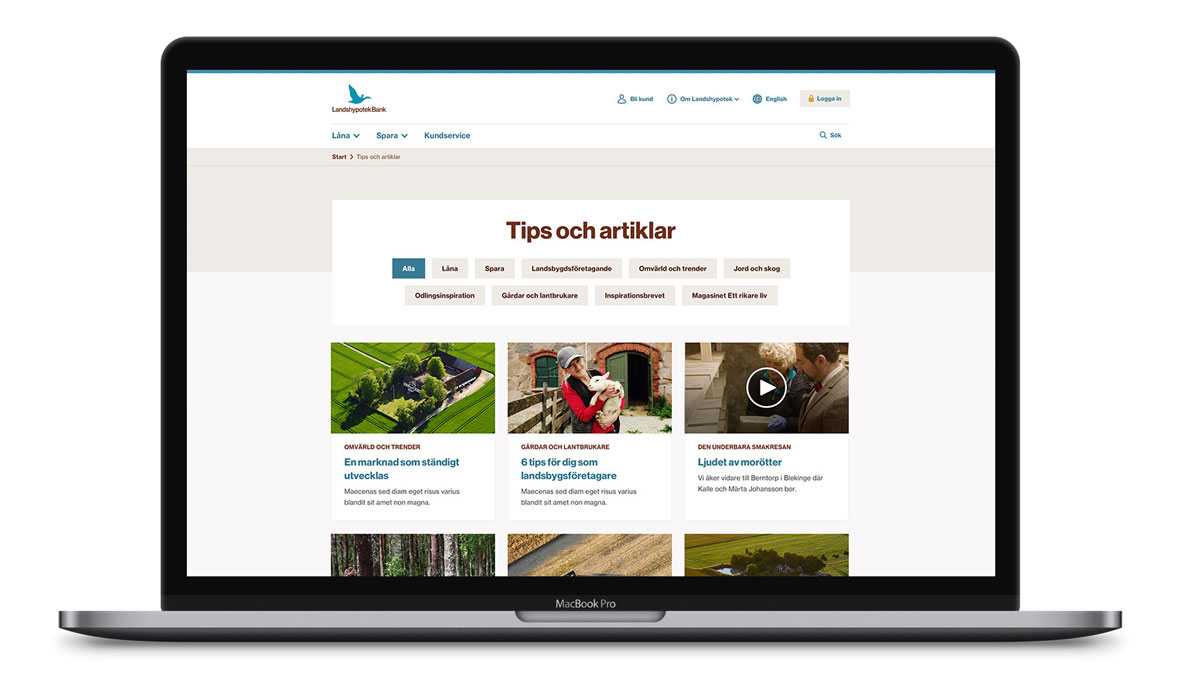 Grafiska profil justerat för att fungera bättre i digitala kanaler - Limetta Digitalbyrå