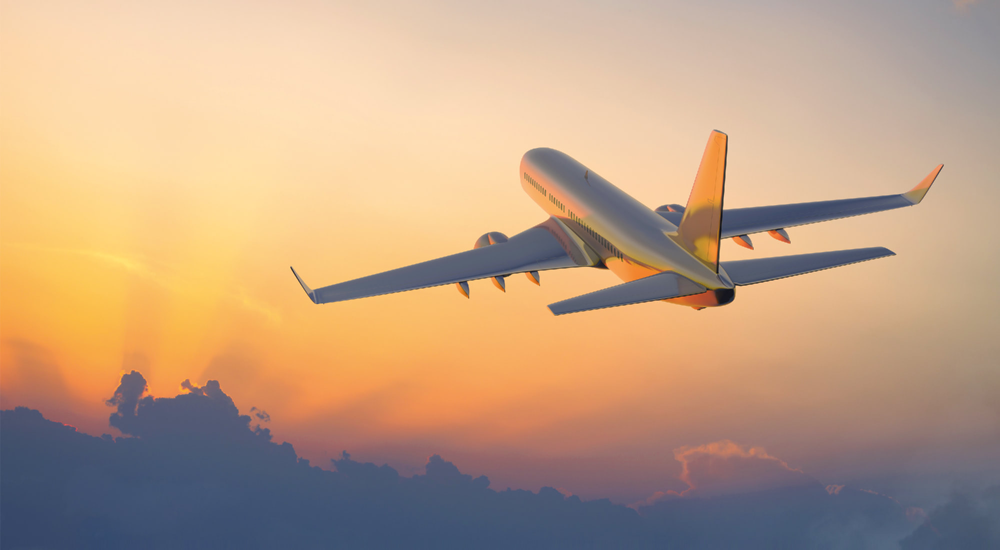 Lindskrog Parkering - Ny webb på Umbraco CMS