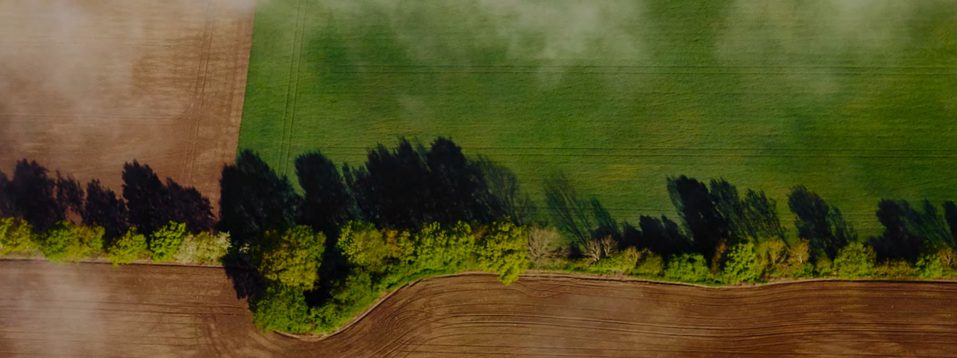 Digital transformation av bolånemarknaden - Limetta Digitalbyrå