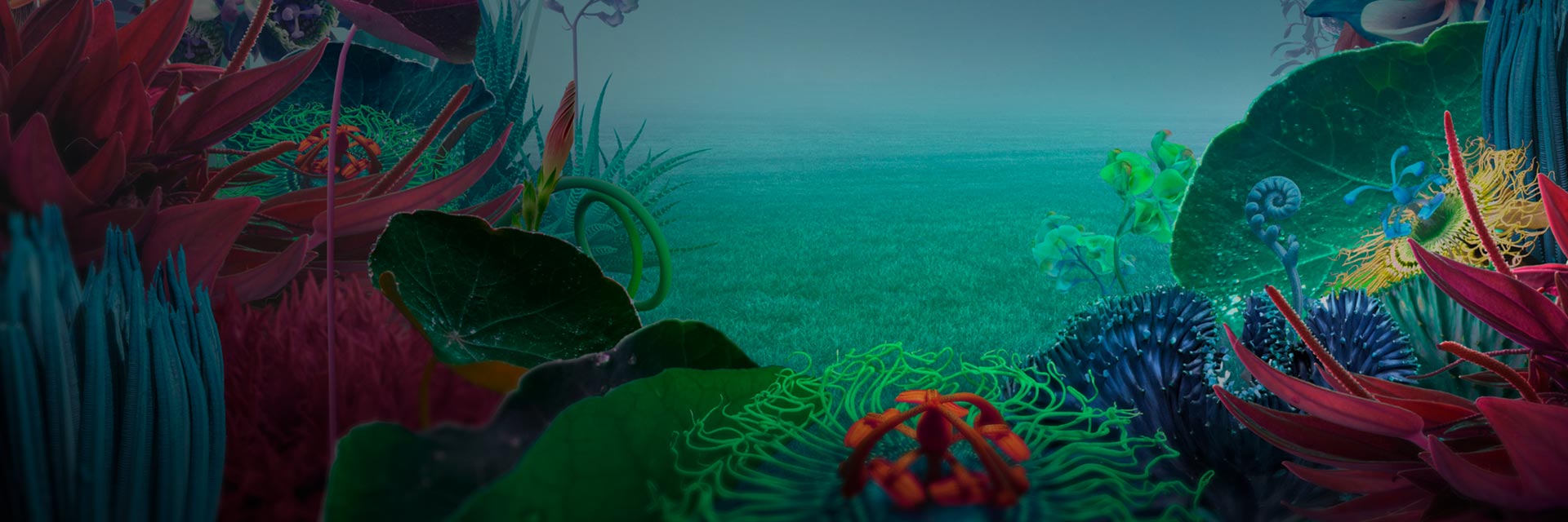 8 vanliga myter om design och UX du bör ha koll på - Limetta Digitalbyrå