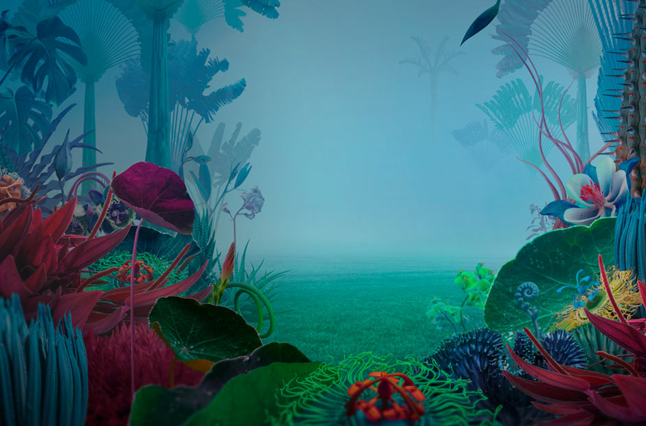 8 vanliga myter om design och UX du bör ha koll på - Limetta Digitalbyrå