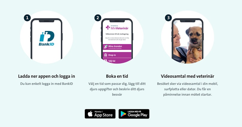 Limetta hj&auml;lper Min Veterin&auml;r med ny sajt och logotyp