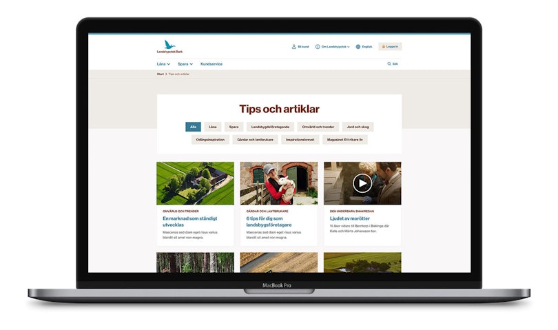 Grafiska profil justerat för att fungera bättre i digitala kanaler - Limetta Digitalbyrå
