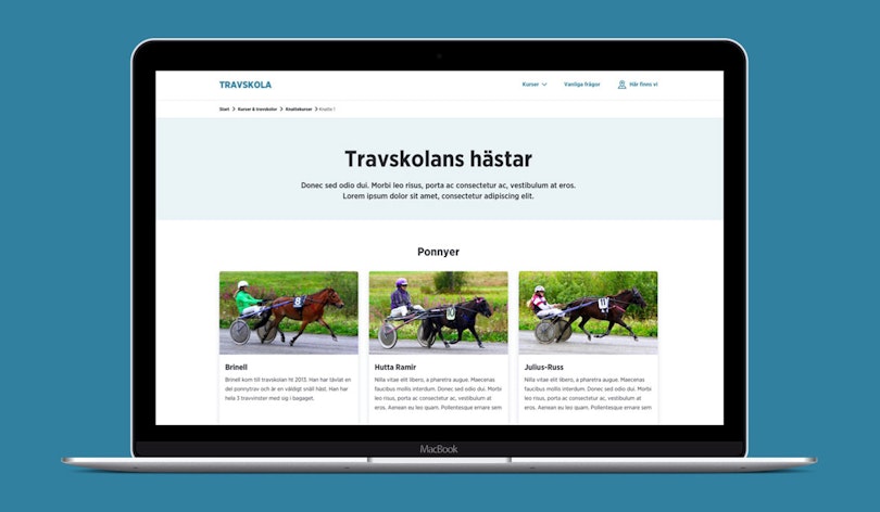 Travskola.se - Ny UX, design, SEO och webbutveckling - Limetta Digitalbyrå Travskola.se - Ny UX, design, SEO och webbutveckling - Limetta Digitalbyrå