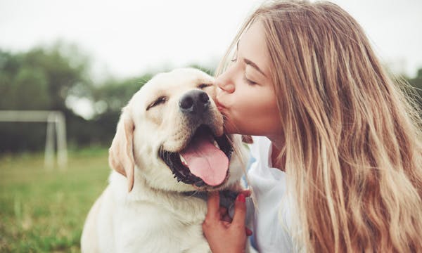 Minimum Lovable Product (MLP) - få användare att älska en produkt Minimum Lovable Product (MLP) - få användare att älska en produkt