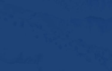 Ny webbplats för Investor AB i Umbraco Cloud - Limetta Digitalbyrå