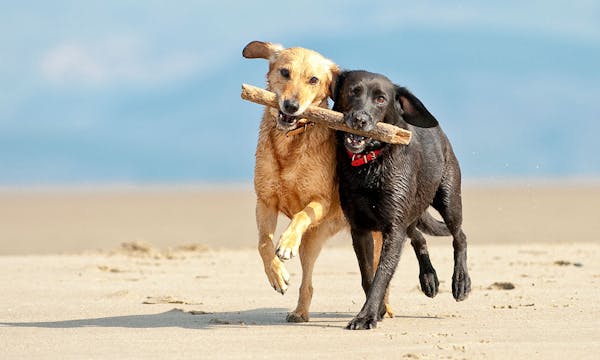 9 användbara konverteringstips - Gör fler besökare till kunder - Limetta Digitalbyrå 9 användbara konverteringstips - Gör fler besökare till kunder - Limetta Digitalbyrå