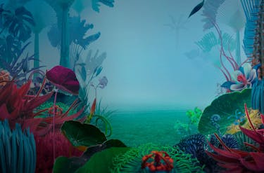 8 vanliga myter om design och UX du bör ha koll på - Limetta Digitalbyrå