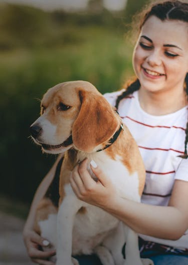 E-handel med Episerver Commerce för VetApotek - Limetta Digitalbyrå