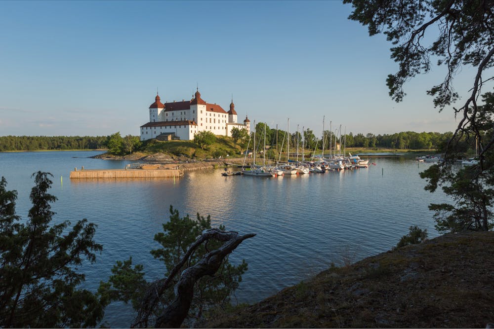 Ny webb lockar kompetens och invånare till Skaraborg - Limetta Digialbyrå