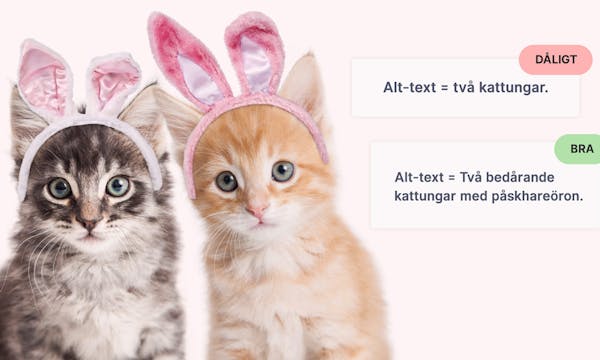 Digital tillgänglighet – beskriv bilder och grafiskt innehåll - Limetta Digitalbyrå Digital tillgänglighet – beskriv bilder och grafiskt innehåll - Limetta Digitalbyrå