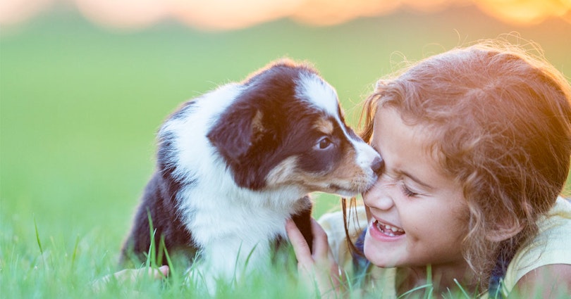 Vår kund VetApotek.se kan bli årets nykomling! Vår kund VetApotek.se kan bli årets nykomling!