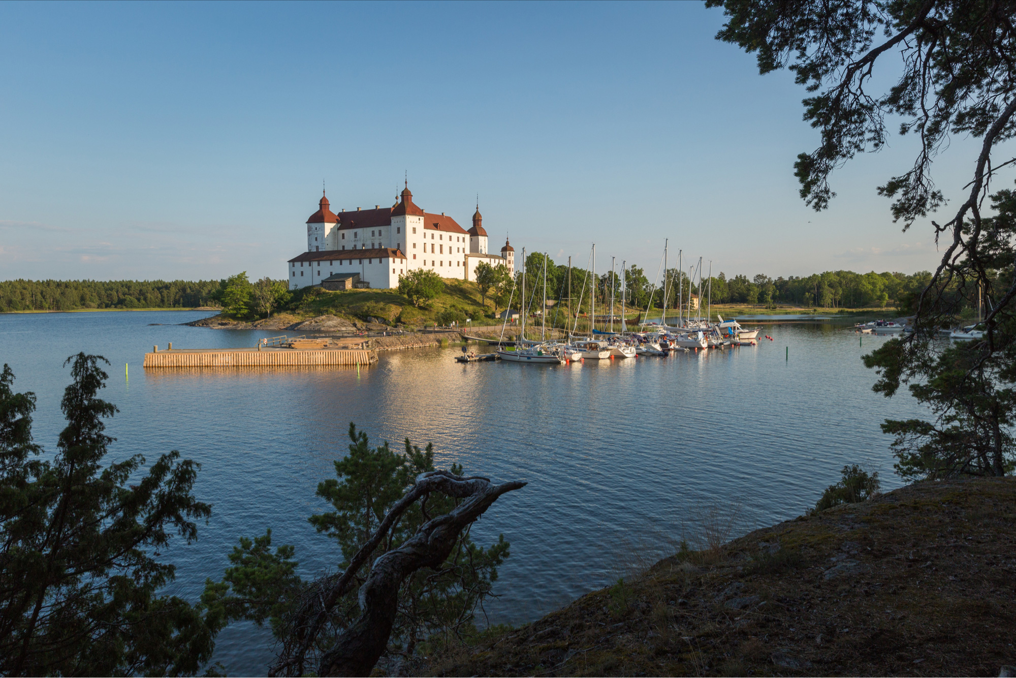 Ny webb lockar kompetens och invånare till Skaraborg - Limetta Digialbyrå