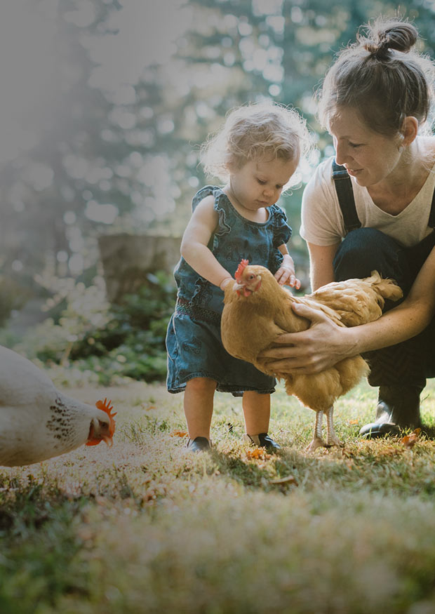 Digitalisering av Landshypoteks verksamhetslån - digital transformation - Limetta Digitalbyrå