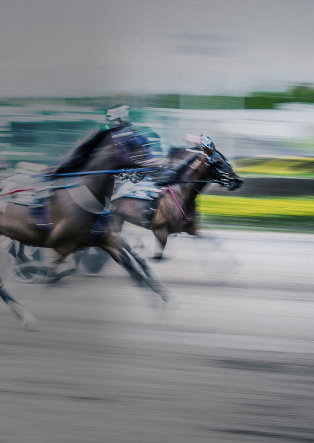 Ny UX och design för Svensk Travsport - Limetta Digitalbyrå